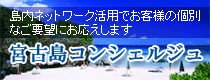 宮古島 観光案内/島内ネットワーク活用でお客様の個別なご要望にお応えします！