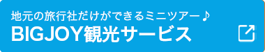 宮古島BIGJOY観光サービス