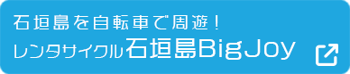 レンタサイクル石垣島BIGJOY