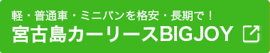 宮古島カーリースBIGJOY