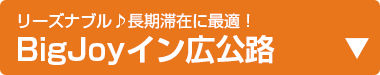 宮古島BigJoyイン広公路