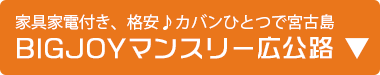 BIGJOYマンスリー広公路